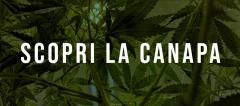 Scopri la Canapa - Festa dei Musei 2018