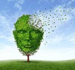 Realtà e convinzioni