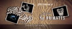 SHADY AND THE VAMP + THE PRIMATES