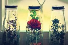 Narrazioni al femminile - Casa CO.H