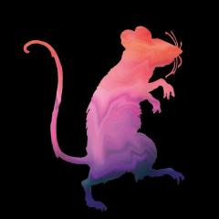 SUBurbia: Leandro - Roncea - diggiei7 Sans Poignet