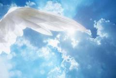 Corso di interpretazione dei sogni con Angelo Picco Barilari