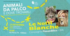 Animali da Palco: "Le Notti Bianche" di PianoinBilico @QUBÌ