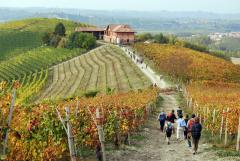Passeggiata "da Diano d'Alba a Grinzane Cavour, tra i sori del dolcetto" @ domenica 27 ottobre - Associazione Culturale Terre Alte