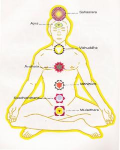 Corso di hatha yoga a cura di Bianconiglio