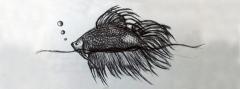 Tracce di Biro - Esposizione di Anna Claudia Pastore al Circolo Sud