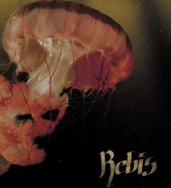 REBIS Release Party + AFU