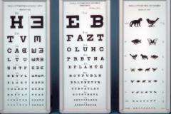 Serata di esercizi per vedere senza occhiali organizzata da Rainbow 