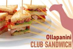 OllaPanini live @Circolo Sud