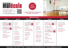 I corsi di Molecole per l'anno 2012/2013