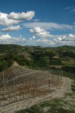 Escursione "Castino: L'anello di cascina Lodola" @ domenica 28 aprile Associazione Culturale Terre Alte