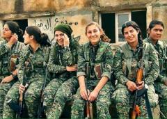 Pornografia della guerra