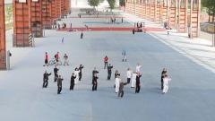 Corsi di Ling Tai Chi a cura di Lingshan