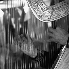 photo by flickr_montuno