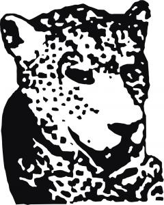 Per Vittoria con Tiger & Woods live Xanax Party a cura di Xplosiva 