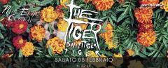 THE TIGER! SHIT! TIGER! TIGER! + Nine Eight Central