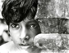 Triciclo UN ANNO DI LAVORO  Focus RAY - "Trilogia di Apu: Il lamento del sentiero" a Il Piccolo Cinema