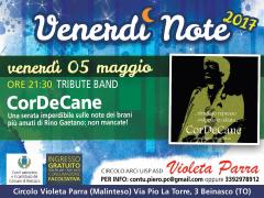 "Cor De Cane" tributo a Rino Gaetano