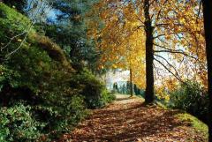 Vedere e toccare i colori dell'autunno