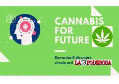 Cannabis For Future #0