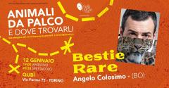 Animali da Palco: "Bestie Rare" di Angelo Colosimo
