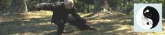 LING TAI CHI STAGE ESTIVI 2014 a cura dell'associazione Lingshan
