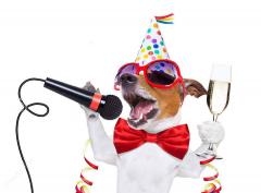 Karaoke Night al Circolo Arci Sud