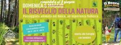 Passeggiata fiabesca a Pian Mune'