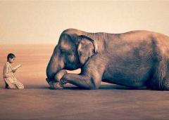 Pillole di Yoga