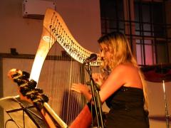 Arpa Celtica
