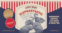 Elephantastic Turin Balboa Weekend 2019