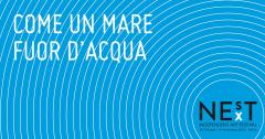 Come un mare fuor d'acqua_ NESXT