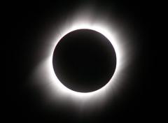 Art Café al B-locale. NERO.