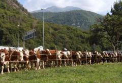 PONT FIERA DI SAN MATTEO