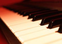 Il venerdì nell'arte dell'Associazione Bianconiglio: live piano performing 