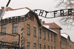 VISITA AD AUSCHWITZ E CRACOVIA