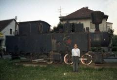 Maurizio Collino