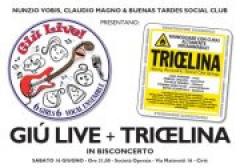 GiuLive + Tricelina in bisconcerto