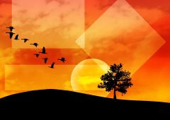 SUMMER END PARTY 2015 _ Sab 26 Sett @ Cinema Vekkio_Corneliano d'Alba (CN)