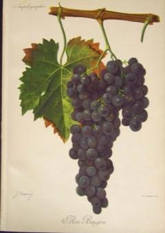 Aspettando Enodissidente 2013 alle Officine Corsare 