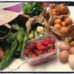 Adotta un paniere, raccolta abiti e Music For Peace a cura del Margot