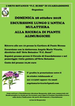 alla ricerca di piante alimurgiche