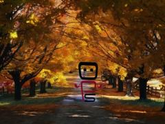 Festa d'autunno all'Officina per la Scena