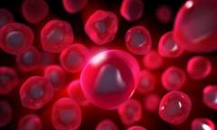 Giovedì Culturali: Cellule staminali - promesse, illusioni, delusioni e successi al Margot