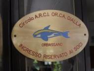 Orca Gialla