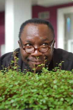 Mad Professor Live, Murazzi edition + Miraflowers & Babe Roots