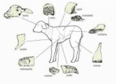 La Compagnia Eidos Teatro presenta "Io sto bene qui" al Rainbow