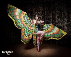 Spettacolo "Honky Tonk Time Machine Show"