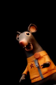 Strane Visioni all'Amantes con Susanna Nicchiarelli