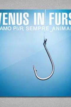 Venus in Furs live al Lapsus 
